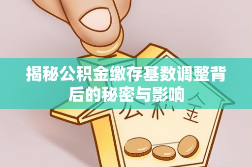 佳冬揭秘公积金缴存基数调整背后的秘密与影响