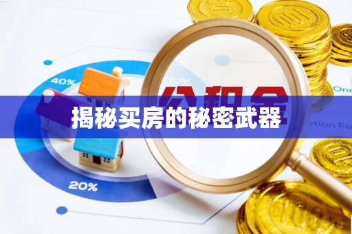 佳冬揭秘买房的秘密武器