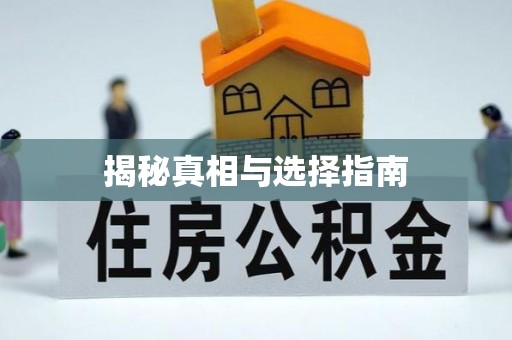 佳冬揭秘真相与选择指南