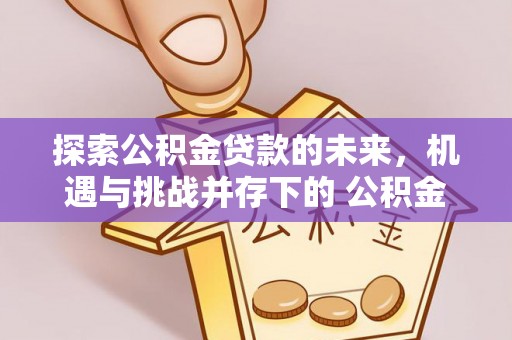 佳冬探索公积金贷款的未来，机遇与挑战并存下的 公积金贷款风险防控