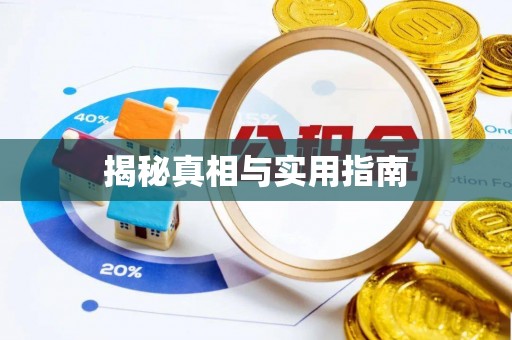 佳冬揭秘真相与实用指南