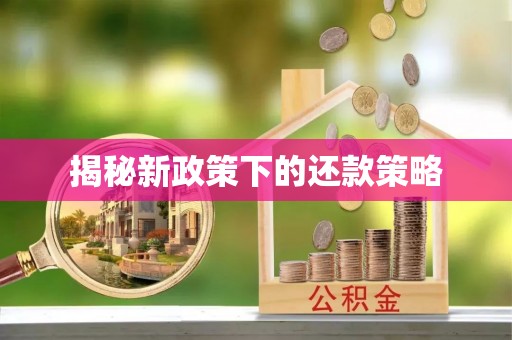 佳冬揭秘新政策下的还款策略