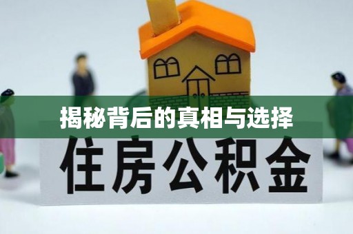 佳冬揭秘背后的真相与选择