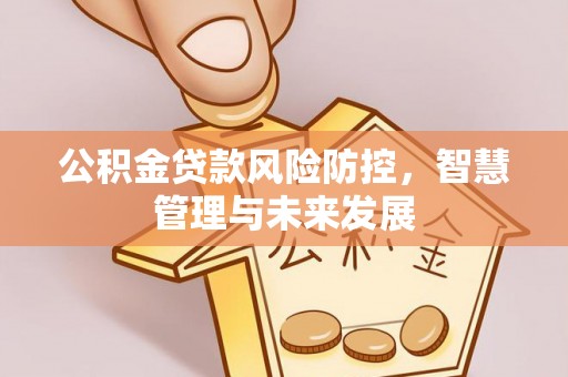 佳冬公积金贷款风险防控，智慧管理与未来发展