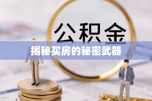 佳冬揭秘买房的秘密武器