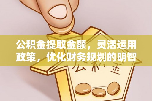 佳冬公积金提取金额，灵活运用政策，优化财务规划的明智选择