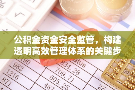 佳冬公积金资金安全监管，构建透明高效管理体系的关键步骤