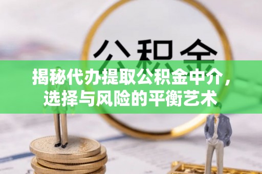 佳冬揭秘代办提取公积金中介，选择与风险的平衡艺术