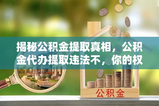 佳冬揭秘公积金提取真相，公积金代办提取违法不，你的权益如何保障？