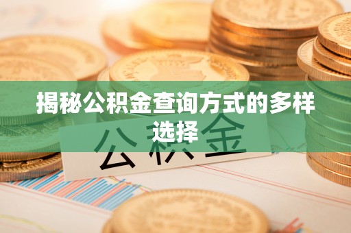 佳冬揭秘公积金查询方式的多样选择