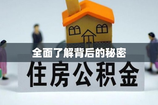 佳冬全面了解背后的秘密